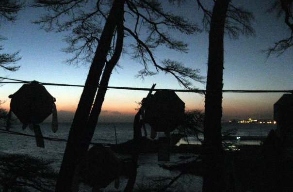 [n550671137_679019_2837[1].jpg]